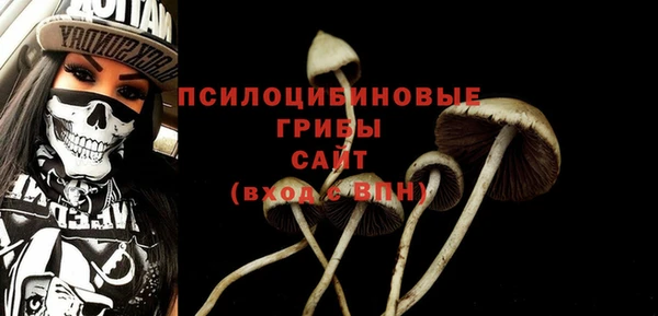 Альфа ПВП Гусь-Хрустальный