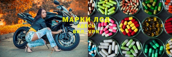 МДПВ Гусев