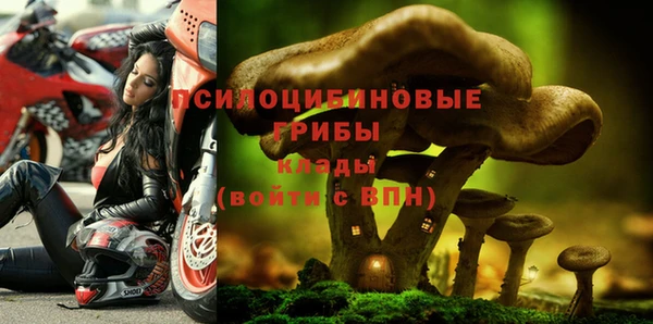 2c-b Домодедово