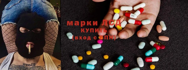 PSILOCYBIN Гусиноозёрск