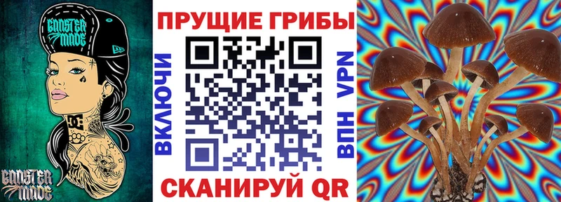 Псилоцибиновые грибы прущие грибы KRAKEN ссылка даркнет официальный сайт Берёзовский